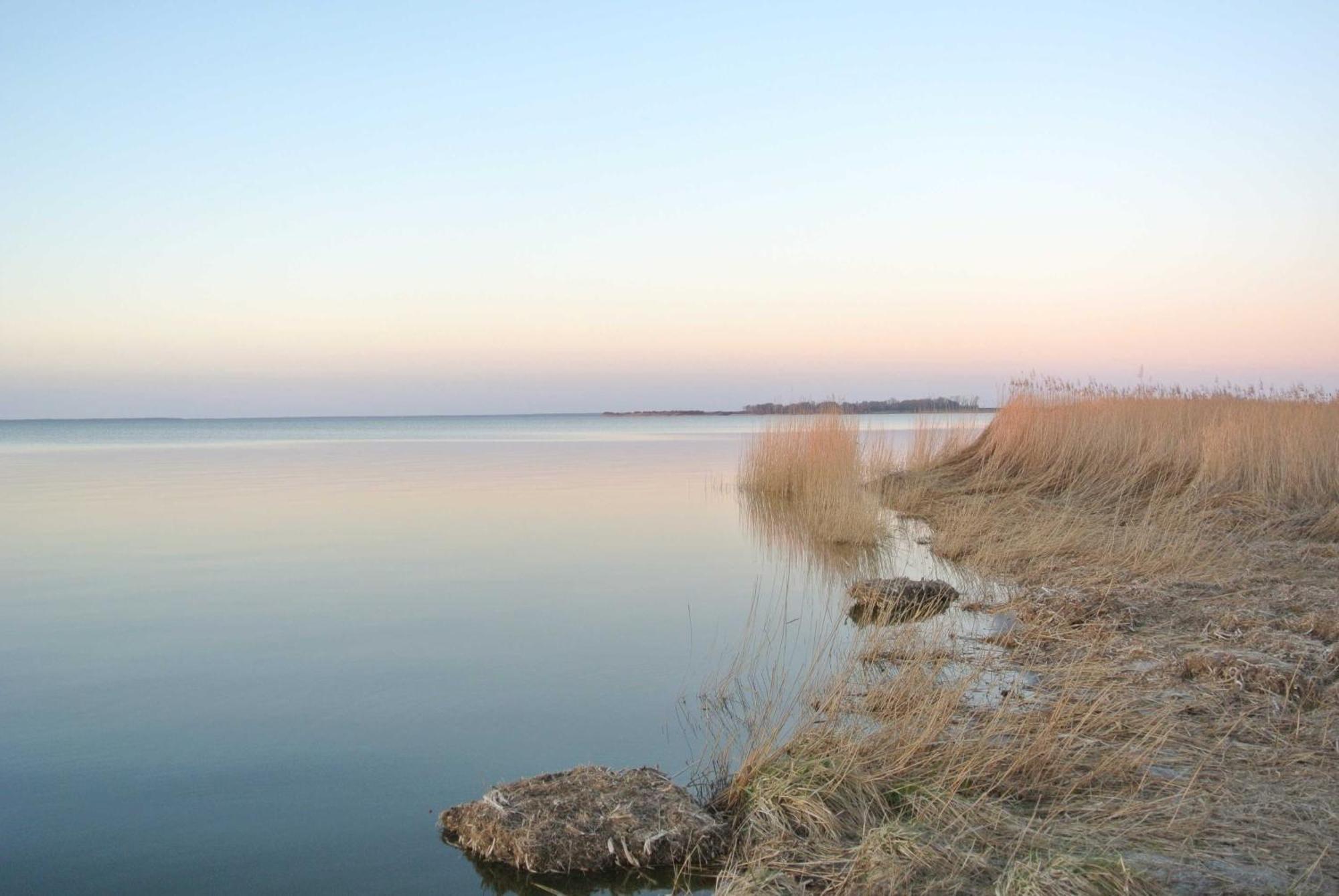 Fischlandinsicht Daire Ribnitz-Damgarten Dış mekan fotoğraf